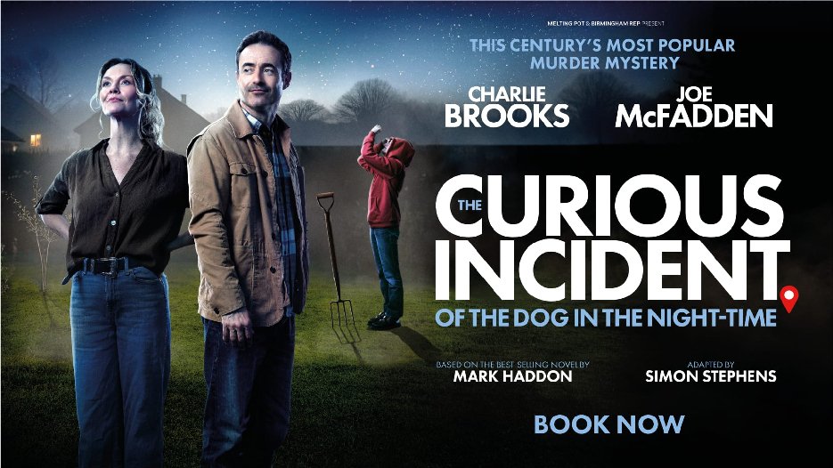 The Curious Incident of the Dog in the Night-Time