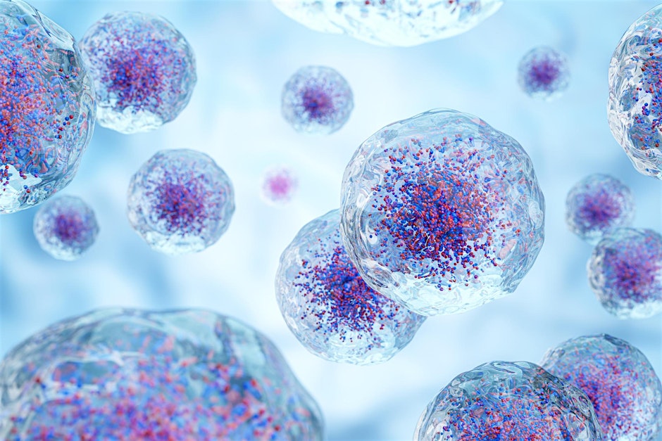 Managing Acute Oncology:  Toxicities, Complications and Challenges