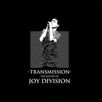 Transmission, Joy Division Tribute. Live at Empire Rochdale