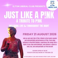 Just Like A P!NK (A Tribute To P!NK)