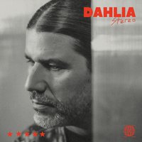 Dahlia Stereo sessions: Quantic