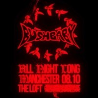 The Loft: Bushbaby (All Night Long)
